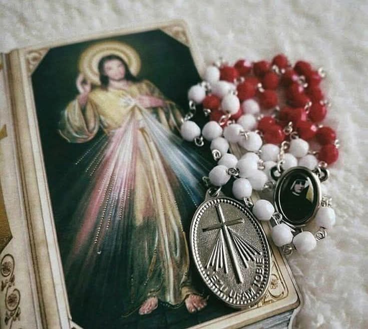 A Miracle of Divine Mercy Wins Another Vocation