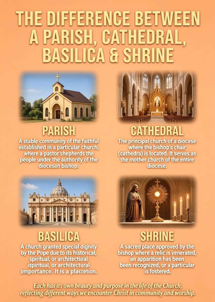 The Difference Between a Parish, Cathedral, Basilica & Shrine