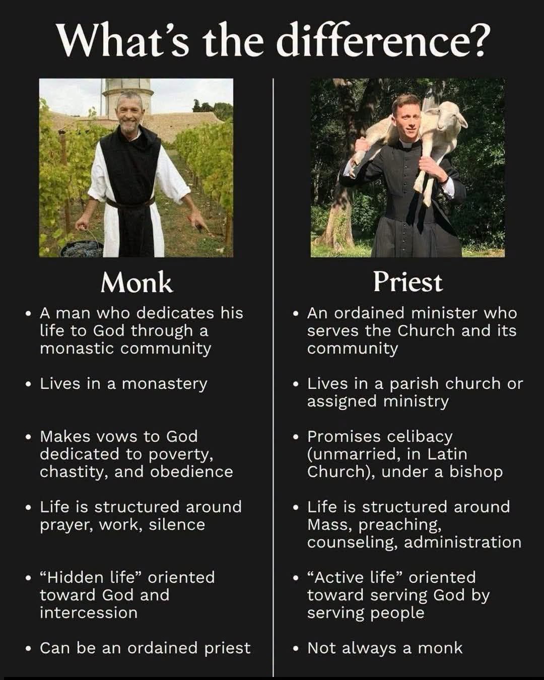 Understanding the Difference Between a Monk and a Priest