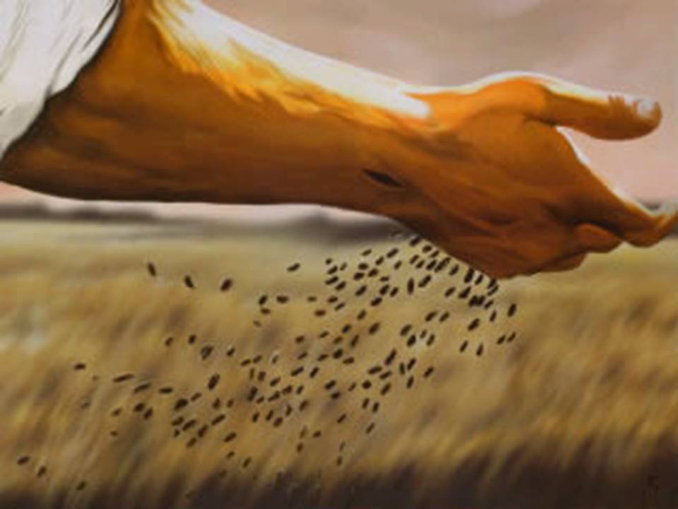 Matt. 13:3–9 | The Call to Become Good Soil
