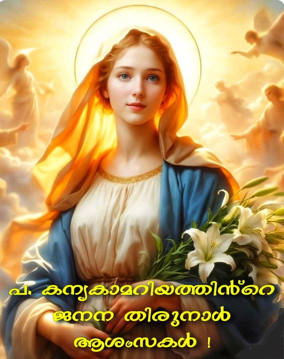പാപമേശാത്ത പരിശുദ്ധ അമ്മയും, പാപപങ്കിലരായ മനുഷ്യരും!